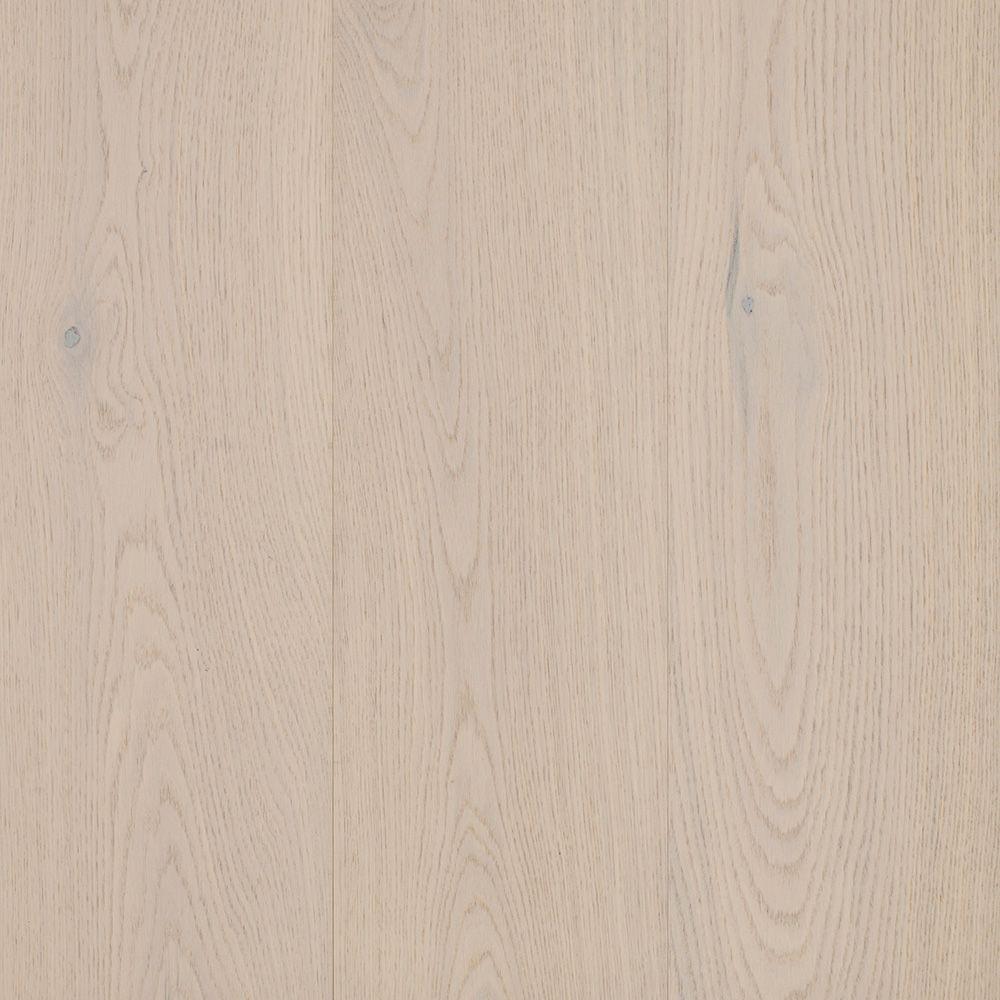 Canterbury Oak